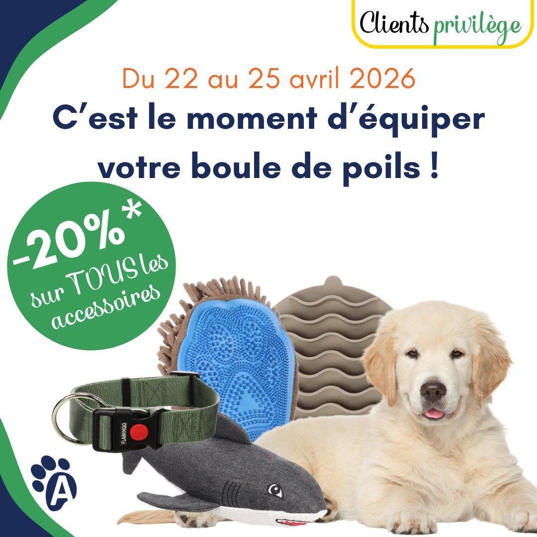 โจ ๐๐๐๐๐ ๐๐๐๐๐๐๐ฬ๐๐ ๐๐๐๐ ๐๐๐โ๐๐๐๐๐๐ ! โจ โจ ๐๐๐๐๐ ๐๐๐๐๐๐๐ฬ๐๐ ๐๐๐๐ ๐๐๐โ๐๐๐๐๐๐ ! โจ