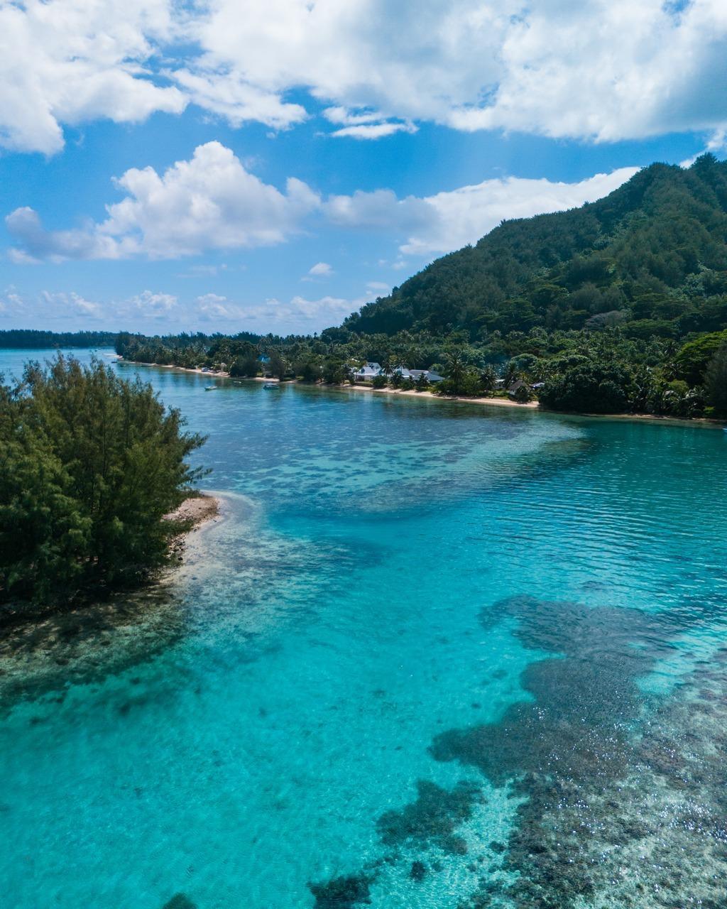 ☀️🌴 Vivez l’expérience authentique de Moorea au cœur du NIU BEACH HOTEL MOOREA 💙