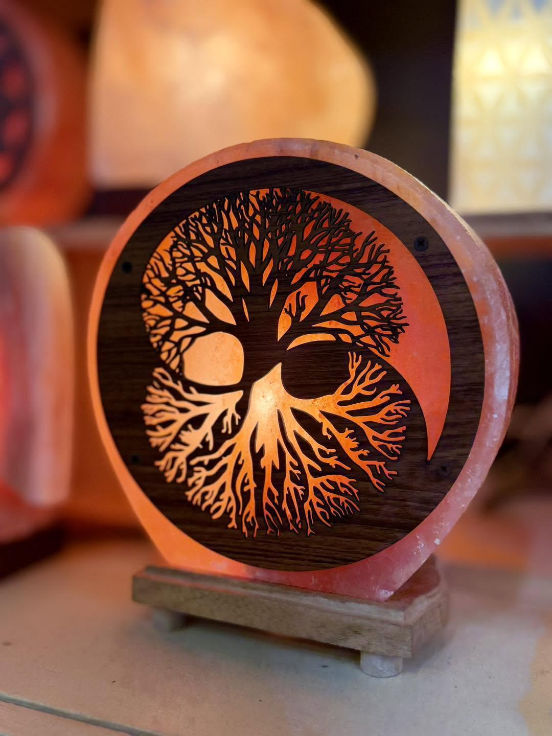 Nouveautés & réassort chez NATURELAND!✨