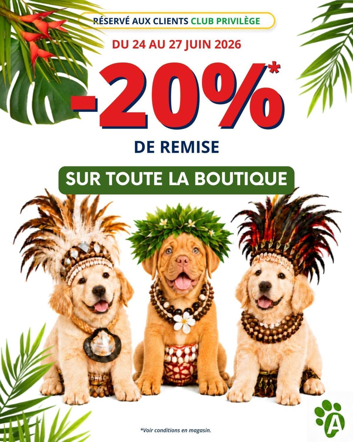 🌺🌴 HEIVA I ANI'MALICE : Promos du 24 au 27 Juin! 🥁🐾