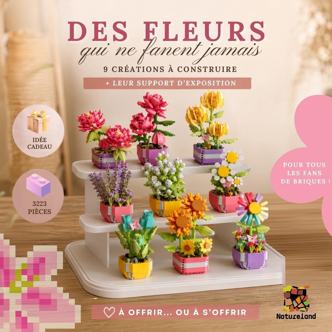 ๐ธDรฉcouvrez le Kit ร construire chez ๐๐๐๐๐๐๐๐๐๐ ๐๐๐๐๐๐!๐ผ ๐ธDรฉcouvrez le Kit ร construire chez ๐๐๐๐๐๐๐๐๐๐ ๐๐๐๐๐๐!๐ผ