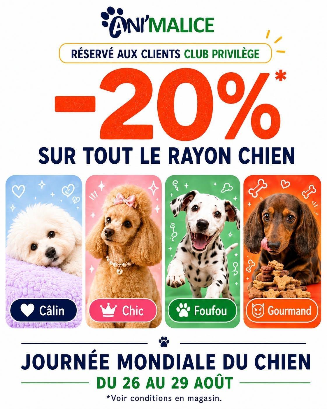 🐶Journée Mondiale du chien chez ANI'MALICE!🐶
