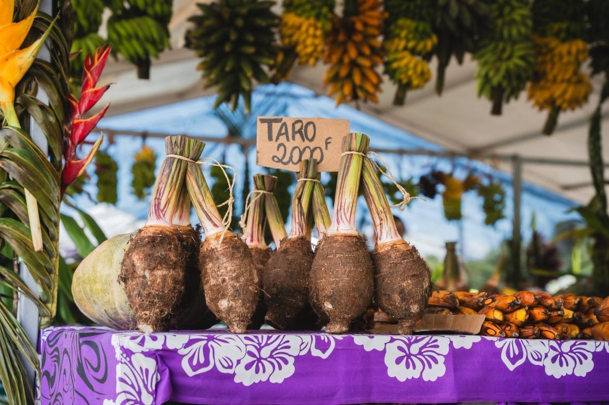 🎉 La 𝐅𝐎𝐈𝐑𝐄 𝐀𝐆𝐑𝐈𝐂𝐎𝐋𝐄 𝟐𝟎𝟐𝟔 est officiellement ouverte ! 👨‍🌾🌱