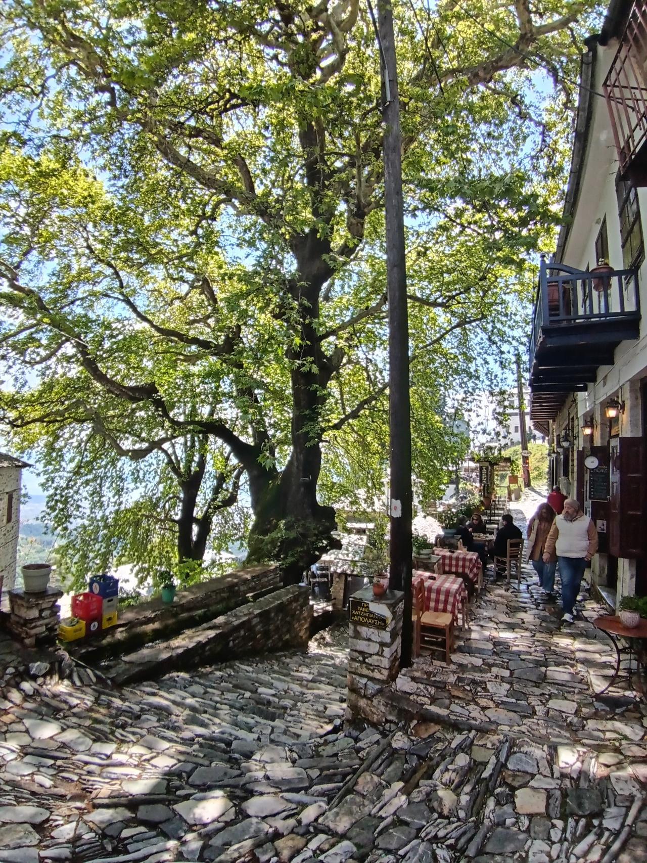 Makrinitsa.