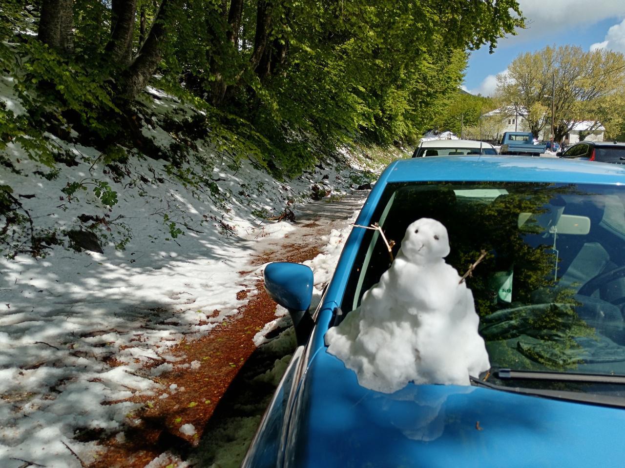 Dernières neiges.