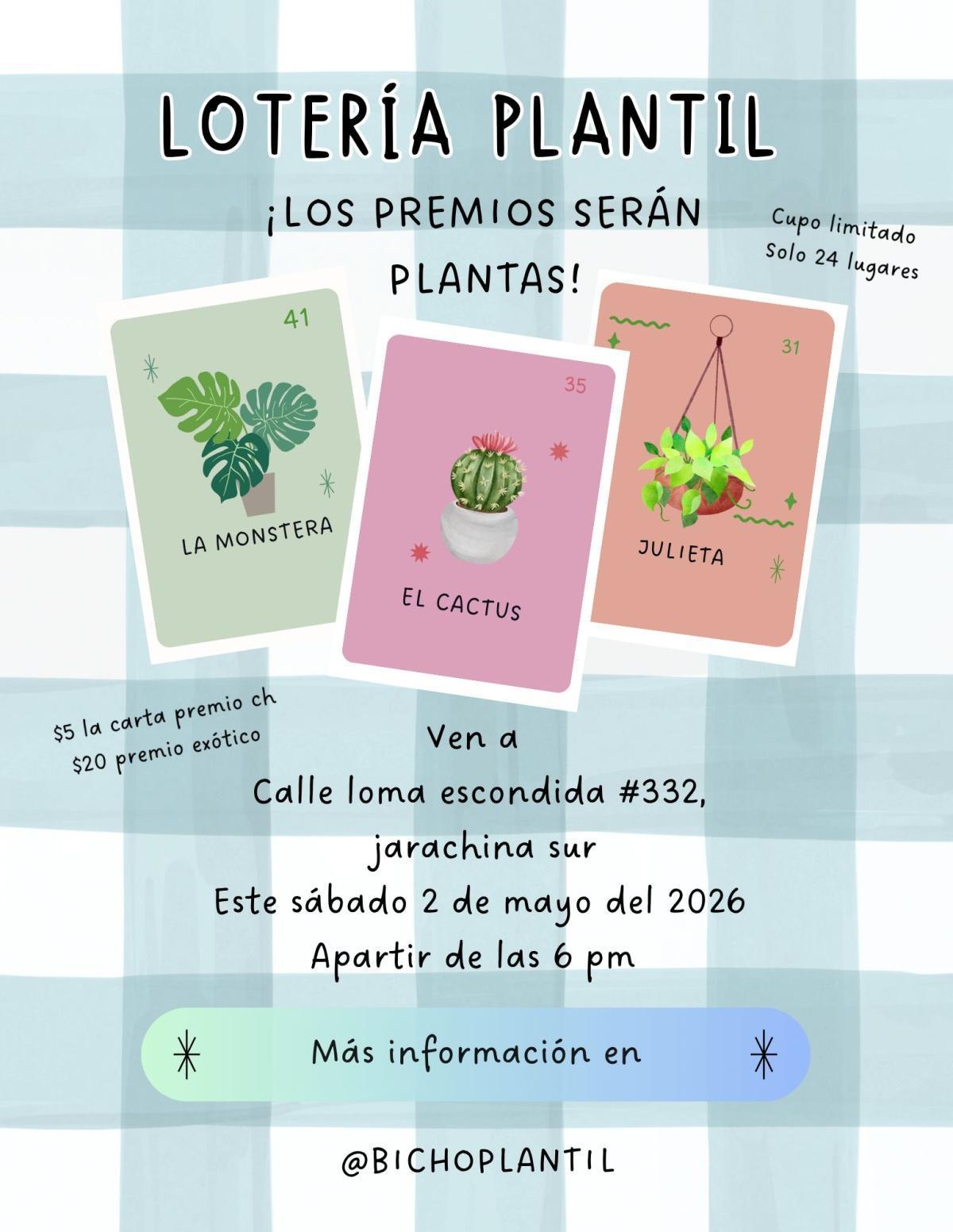 Bingo Plantil