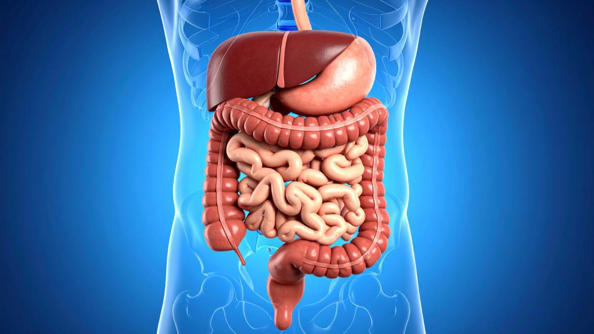Esame del microbiota intestinale