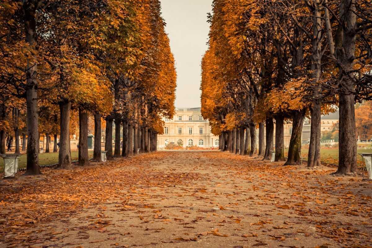 SEASONAL PARIS SEASONAL PARIS