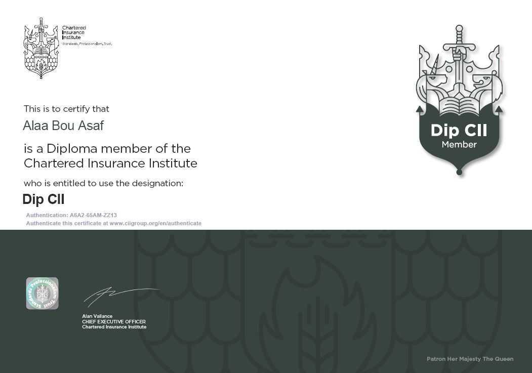 download Dip CII