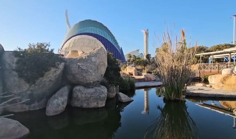 Valencia: Oceanografic - Das größte Aquarium Europas Valencia: Oceanografic - Das größte Aquarium Europas