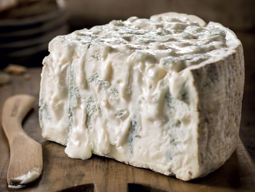 Gorgonzola DOP e Lardo - 20% di Sconto 