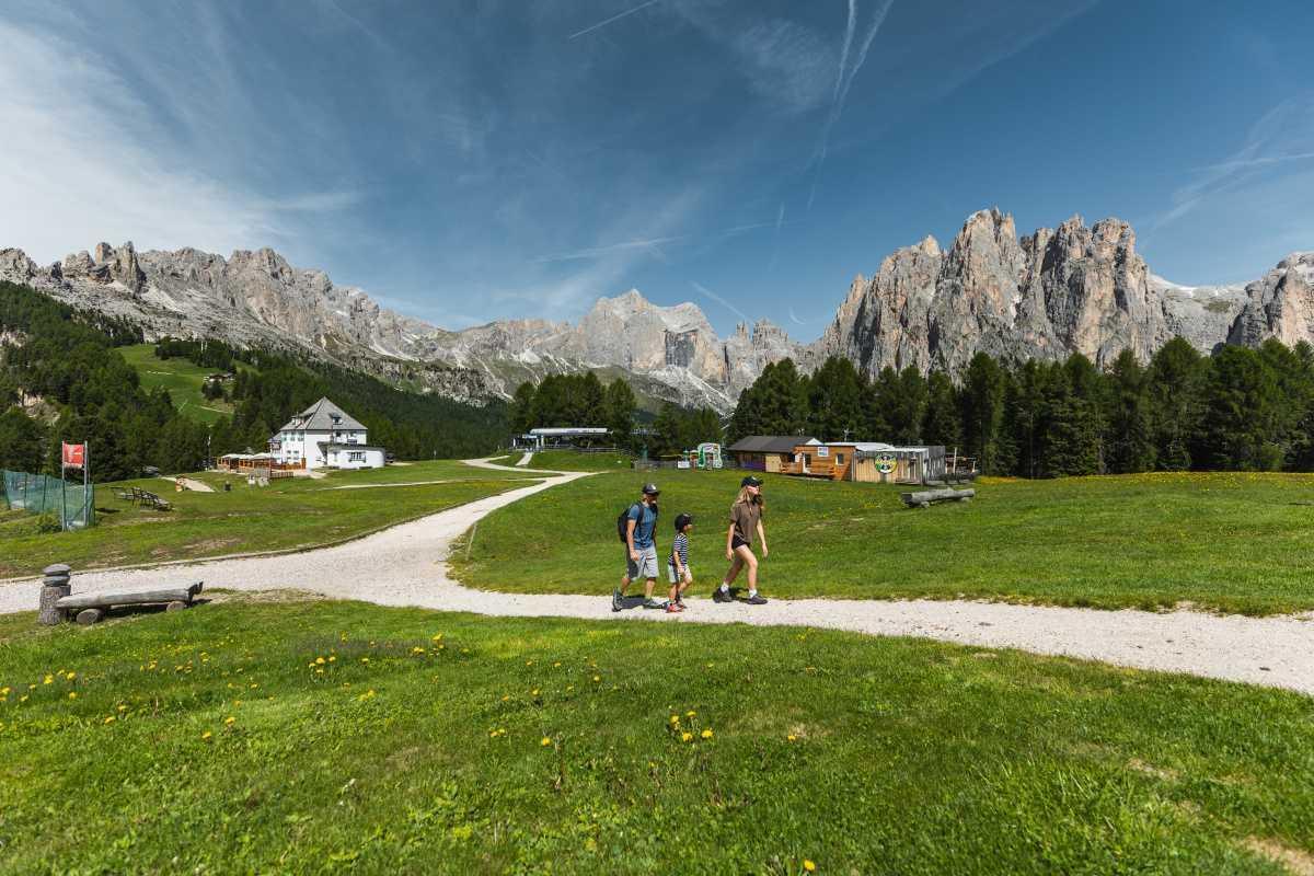 Sulle tracce degli animali del bosco