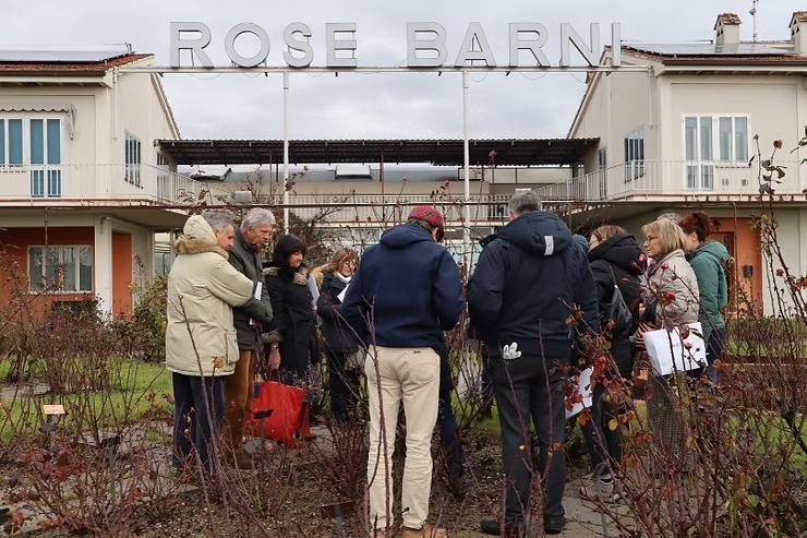 Discover the Art of Growing the Perfect Rose @ Rose Barni Discover the Art of Growing the Perfect Rose @ Rose Barni