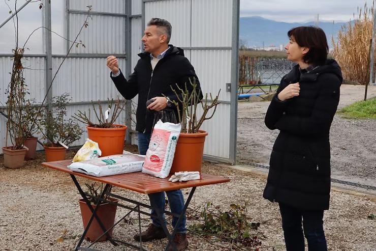 Discover the Art of Growing the Perfect Rose @ Rose Barni Discover the Art of Growing the Perfect Rose @ Rose Barni