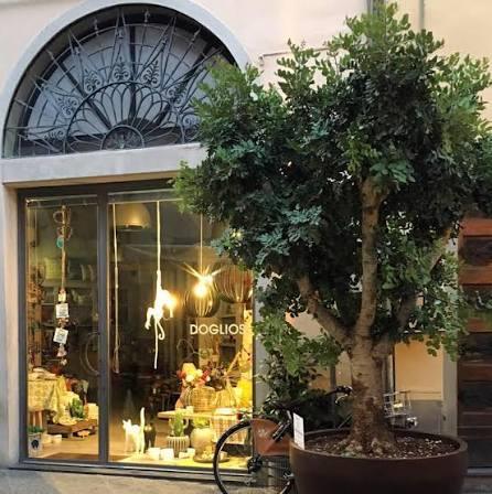 Dogliosi Concept Store Dogliosi Concept Store
