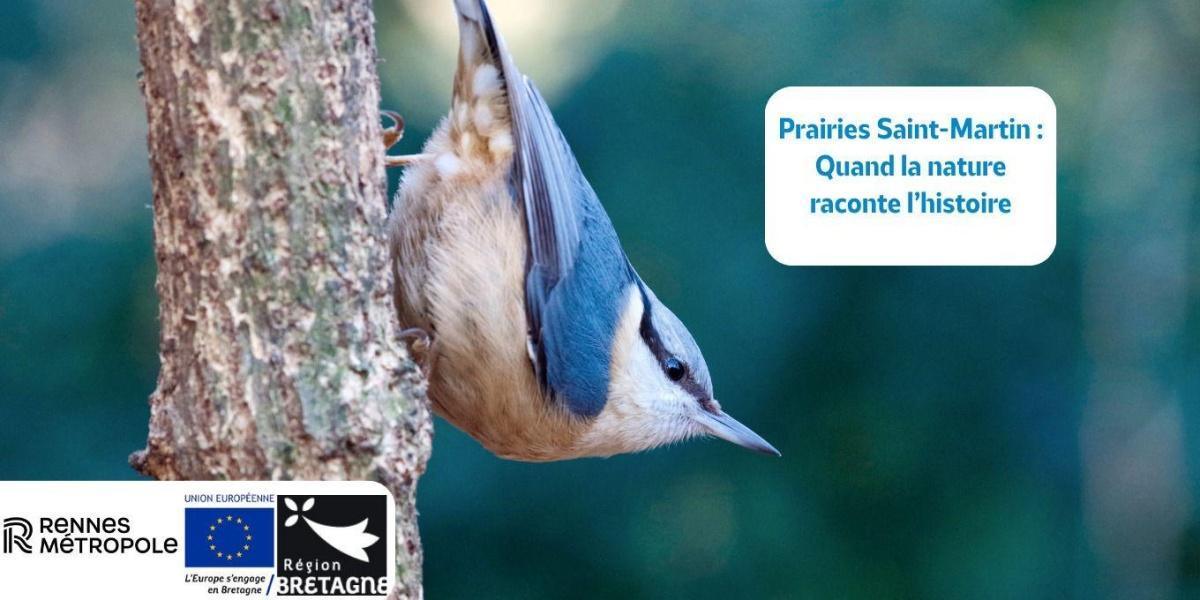 Prairies Saint-Martin, quand la nature raconte l'histoire avec la LPO à Rennes Prairies Saint-Martin, quand la nature raconte l'histoire avec la LPO à Rennes