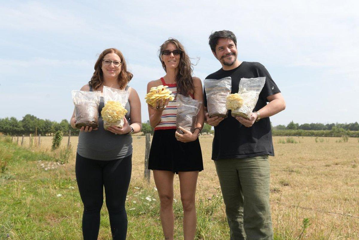 Cultivez vos propres champignons avec Corentin et Marion à Pacé Cultivez vos propres champignons avec Corentin et Marion à Pacé