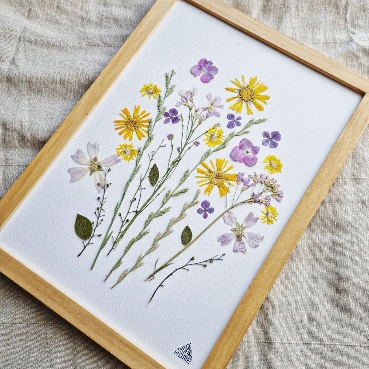 Pressez des fleurs et réalisez votre herbier encadré à Noyal-Châtillon-sur-Seiche Pressez des fleurs et réalisez votre herbier encadré à Noyal-Châtillon-sur-Seiche