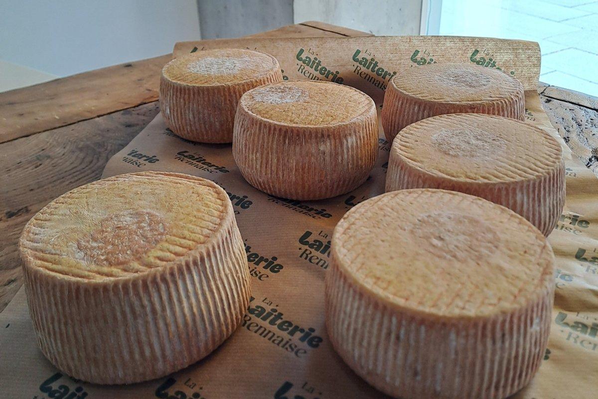 Fabriquez votre tomme artisanale avec Yann à Rennes Fabriquez votre tomme artisanale avec Yann à Rennes