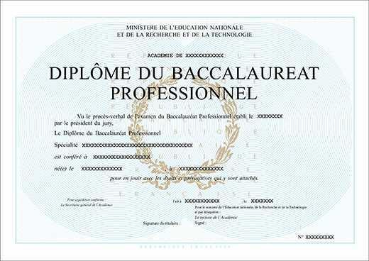 BAC PROFESSIONNEL