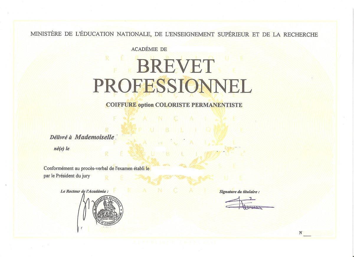 BREVET PROFESSIONNEL