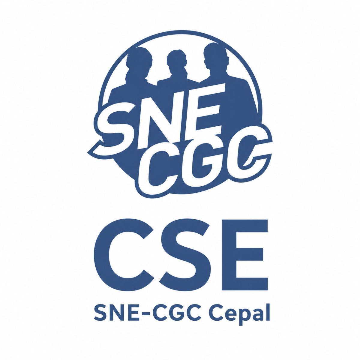 Le Comité Social et Economique
