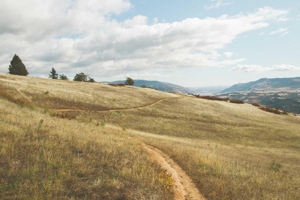 Monte Saraceno (Belvedere e Percorso Naturalistico) - Monte Saraceno (Scenic Viewpoint and Nature Trail)