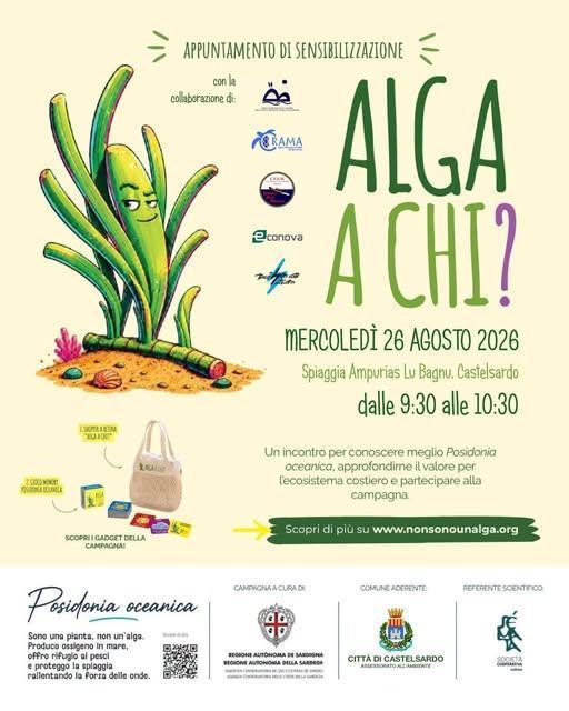 Alga a Chi? (Dalle ore 9:30 alle 10:30) Alga a Chi? (Dalle ore 9:30 alle 10:30)