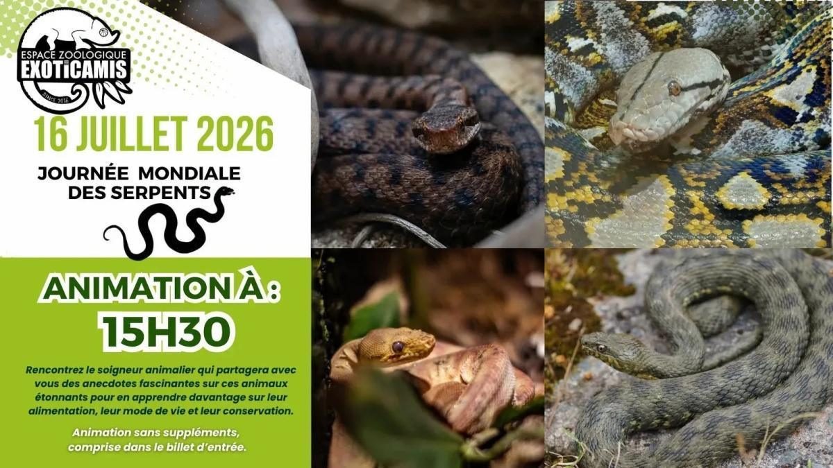 Animation : Journée Mondiale des Serpents à Exoticamis