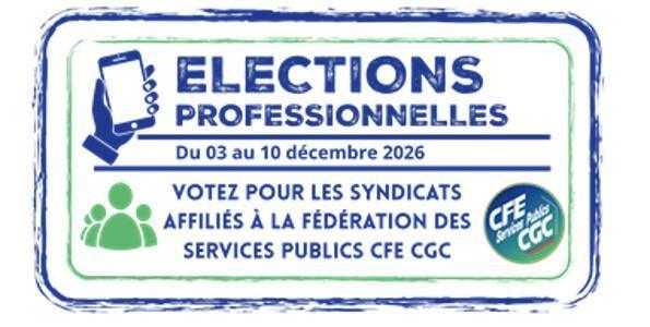 Rapport annuel égalité professionnelle
