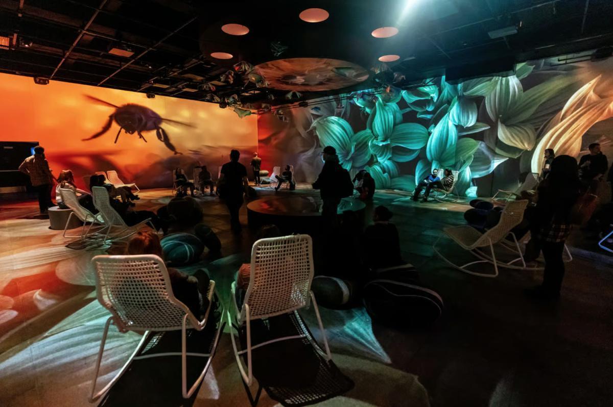 OASIS Immersion à Montréal : déambulation numérique et art immersif au Palais des congrès