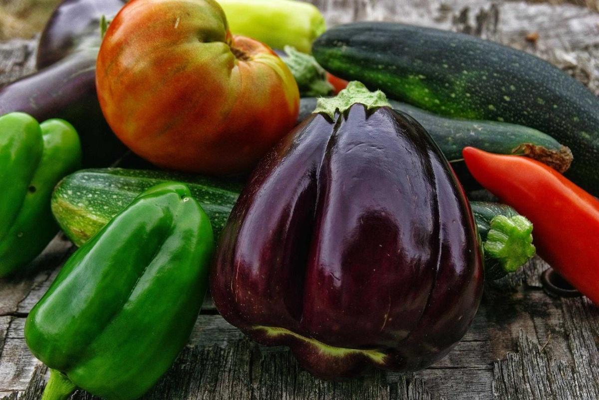 Le piquant des piments à la ferme écologique du Cap-Saint-Jacques Le piquant des piments à la ferme écologique du Cap-Saint-Jacques