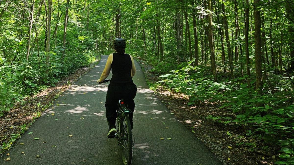 Randonnée guidée en fatbike au parc-nature du Bois-de-Liesse Randonnée guidée en fatbike au parc-nature du Bois-de-Liesse
