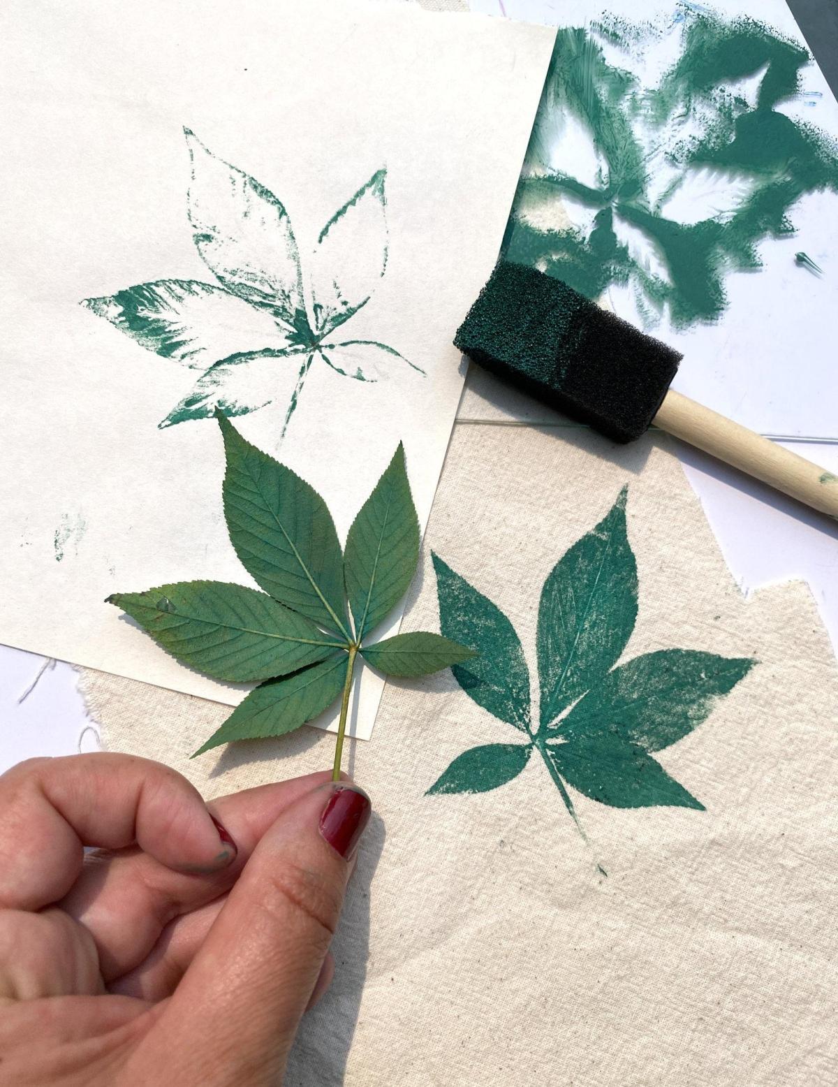 Impression textile avec des feuilles à la bibliothèque Maisonneuve Impression textile avec des feuilles à la bibliothèque Maisonneuve