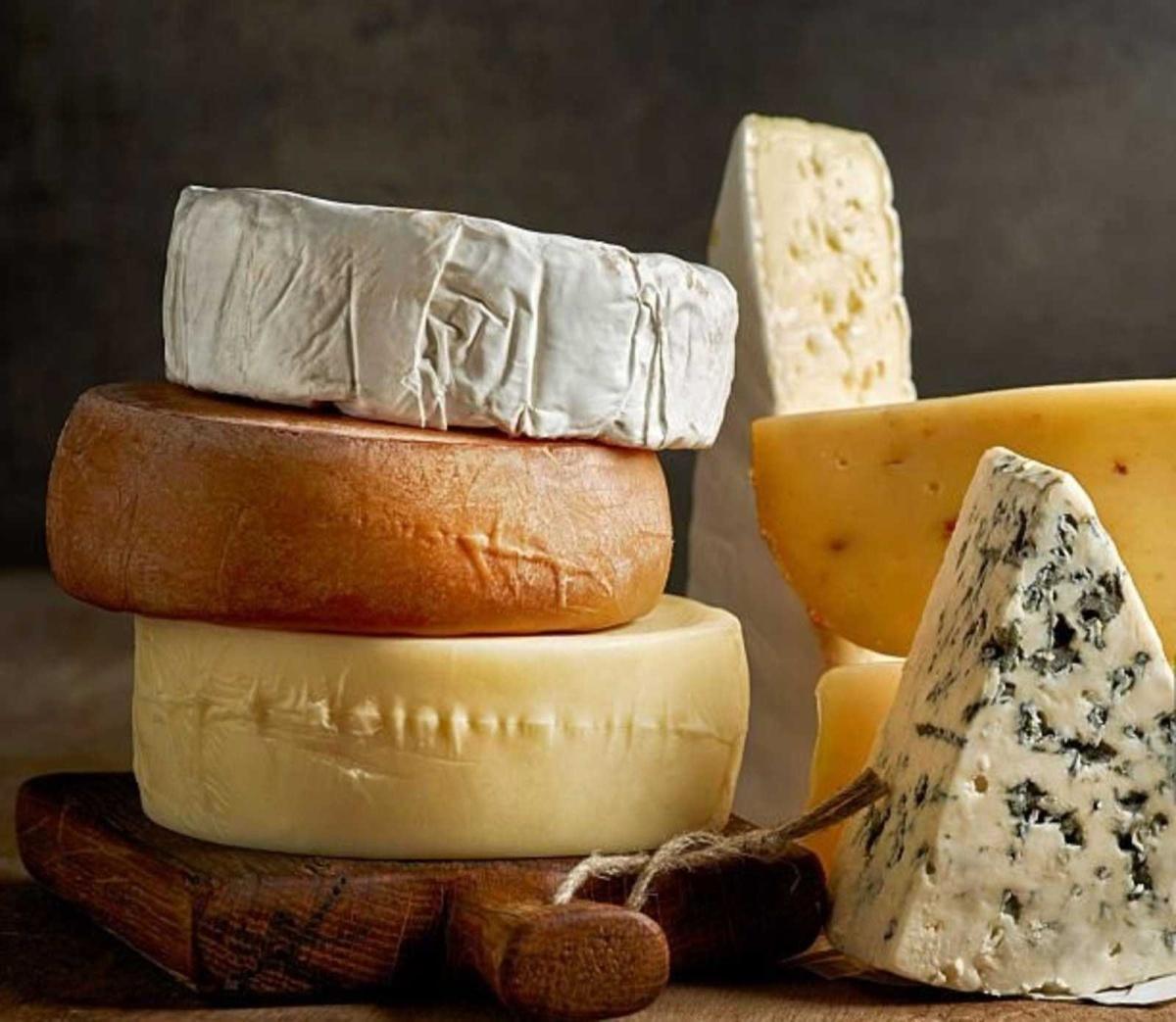 Dégustation de fromages québécois à la bibliothèque Langelier Dégustation de fromages québécois à la bibliothèque Langelier