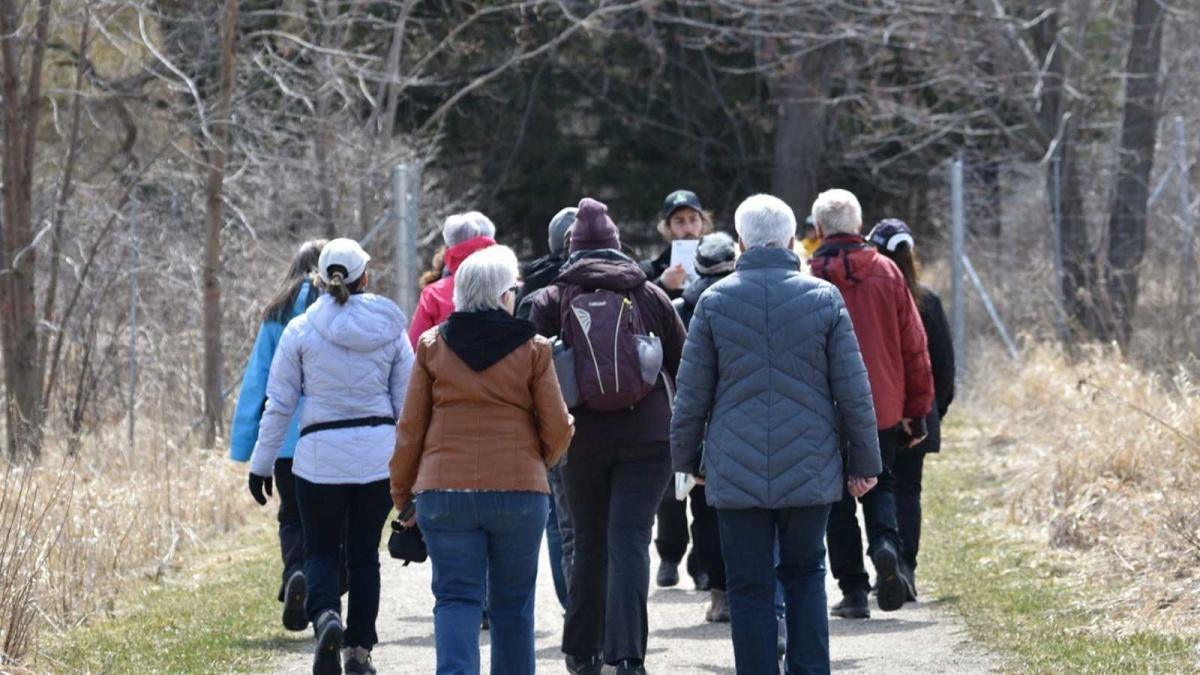 Randonnée pour les personnes aînées au parc-nature du Bois-de-Saraguay Randonnée pour les personnes aînées au parc-nature du Bois-de-Saraguay