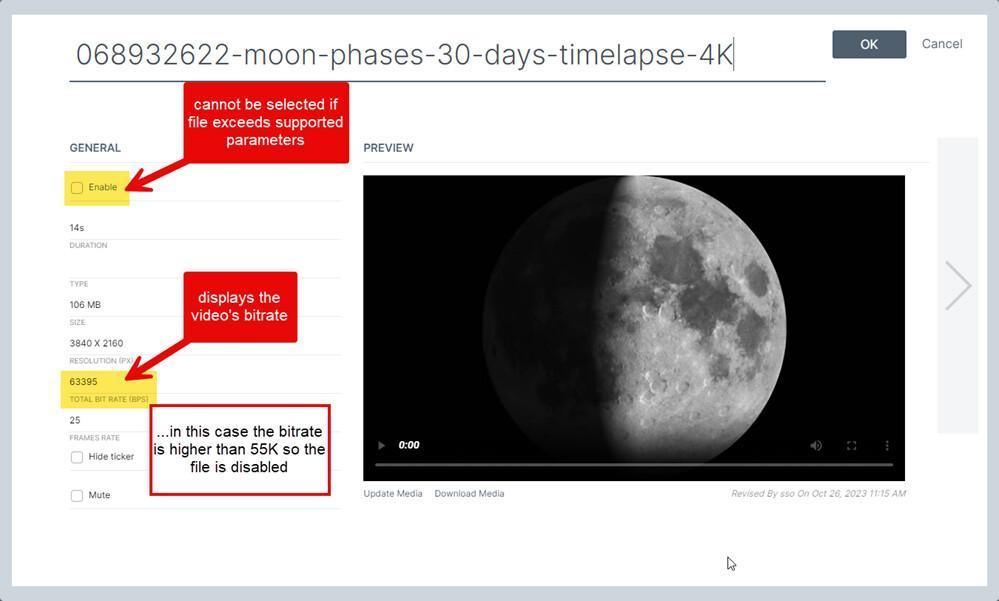 Specifiche video aggiuntive Specifiche video aggiuntive