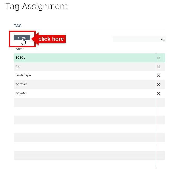 Assegnare tag ai player Assegnare tag ai player