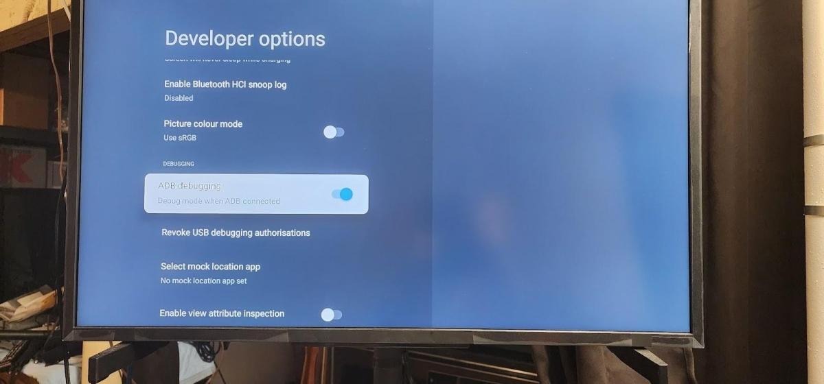 Guida all'installazione su Sony Bravia Guida all'installazione su Sony Bravia