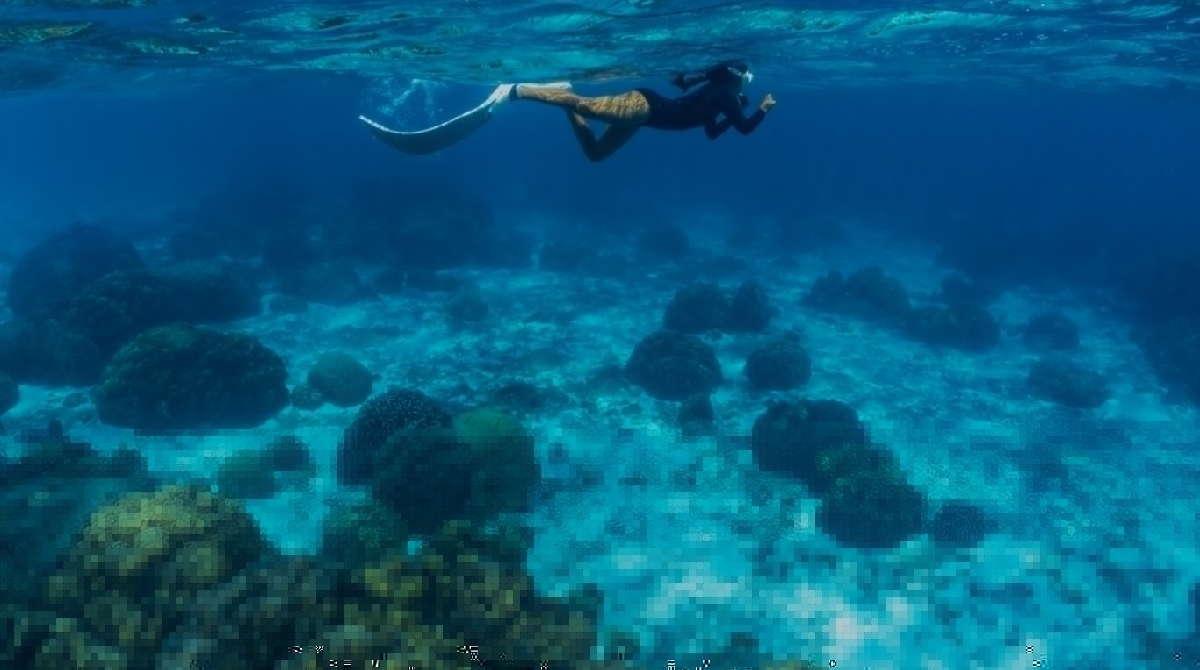 Qué hacer en Mallorca: planes culturales, playas y gastronomía en la isla
