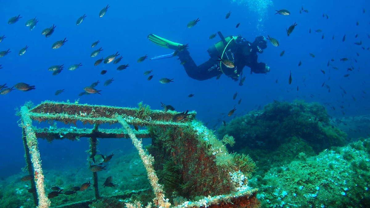 Qué hacer en Ibiza: Patrimonio de la Humanidad, calas y gastronomía Qué hacer en Ibiza: Patrimonio de la Humanidad, calas y gastronomía