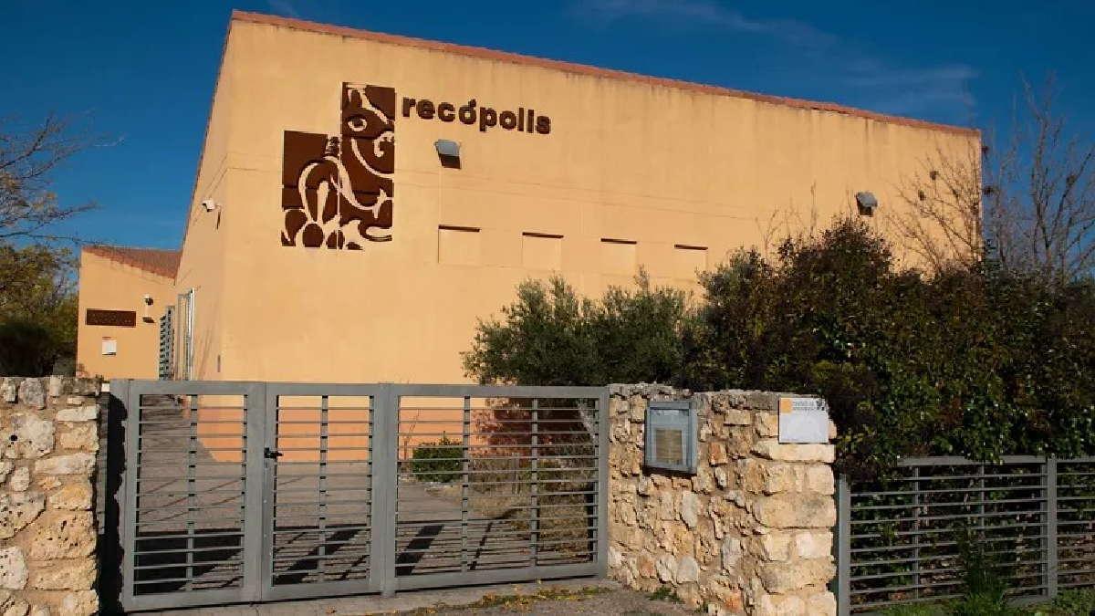 Castilla-La Mancha: cinco provincias, infinitas experiencias para todos los sentidos