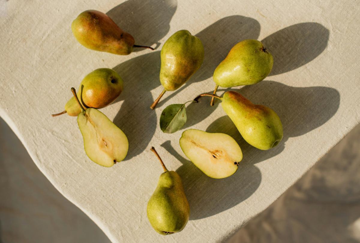 The Pear Tree Outside My Door The Pear Tree Outside My Door