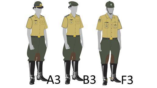 8º A3/B3/F3