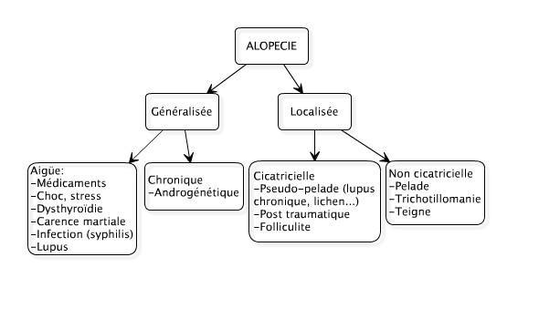 Troubles des phanères: alopécie