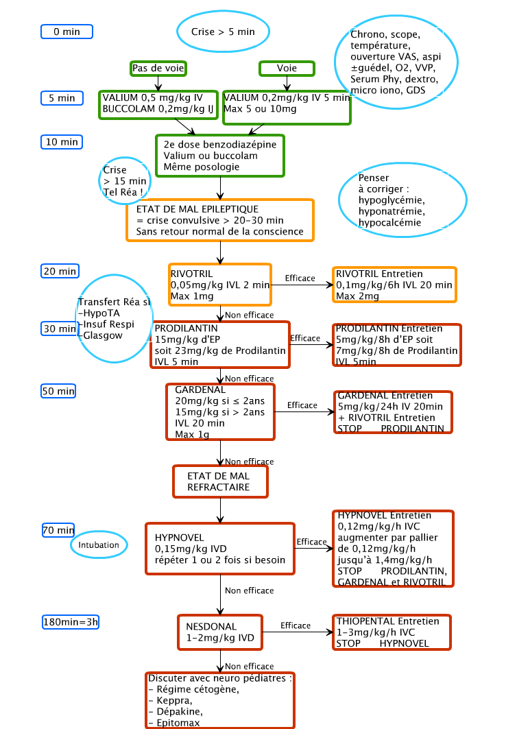 Etat de mal épileptique chez l'enfant