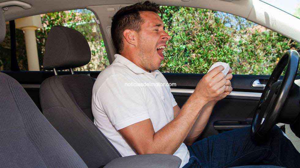 AMDA RECOMIENDA REVISAR LOS FILTROS DEL VEHÍCULO PARA PREVENIR SITUACIONES DE RIESGO POR CONDUCIR CON ALERGIA AL POLEN AMDA RECOMIENDA REVISAR LOS FILTROS DEL VEHÍCULO PARA PREVENIR SITUACIONES DE RIESGO POR CONDUCIR CON ALERGIA AL POLEN