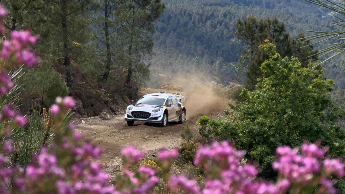 RALLYE DE PORTUGAL: LOS PUMA, PREPARADOS PARA SUPERAR LA PRUEBA RALLYE DE PORTUGAL: LOS PUMA, PREPARADOS PARA SUPERAR LA PRUEBA