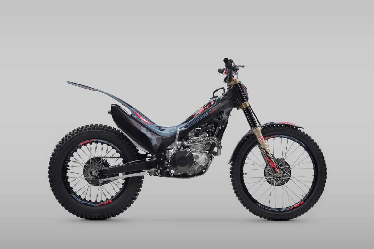 MONTESA, PREMIO DELTA TRAYECTORIA 2024 POR ADI-FAD MONTESA, PREMIO DELTA TRAYECTORIA 2024 POR ADI-FAD