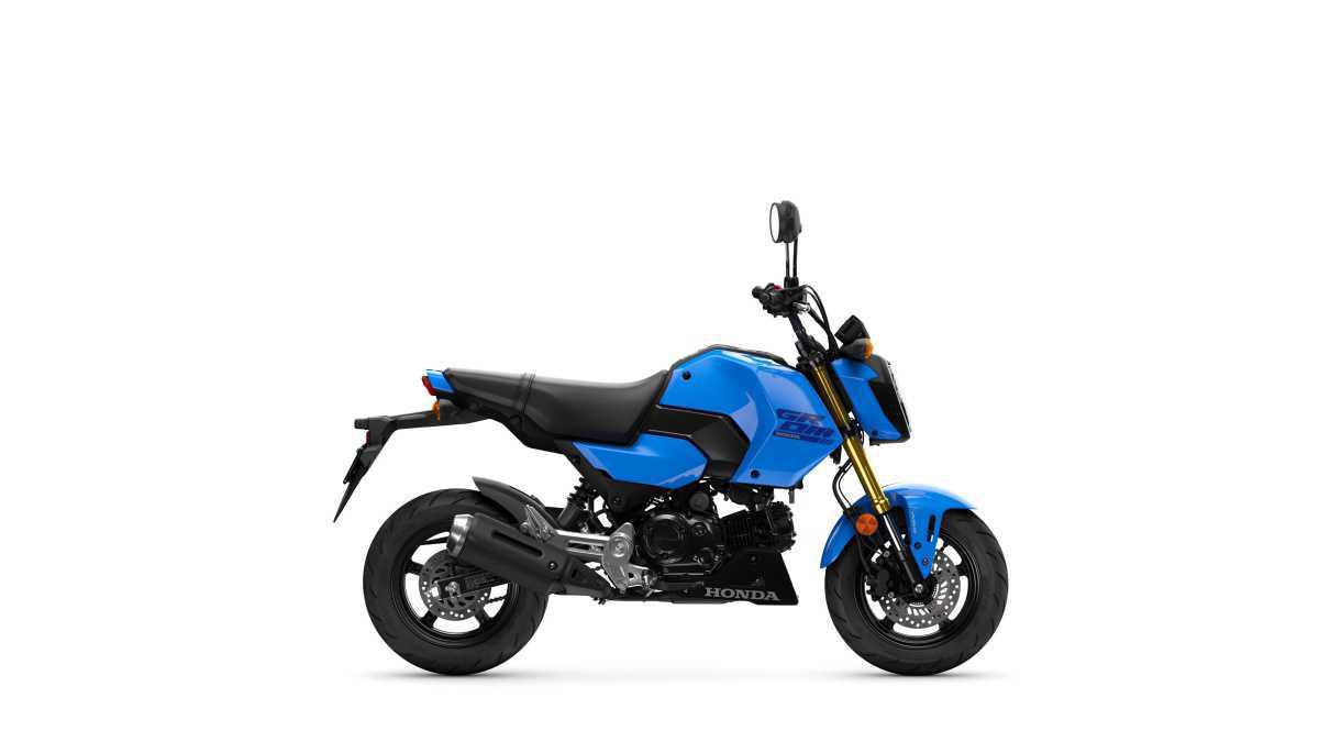 ¡HONDA ANUNCIA LA RENOVADA MSX125 GROM 2025! ¡HONDA ANUNCIA LA RENOVADA MSX125 GROM 2025!